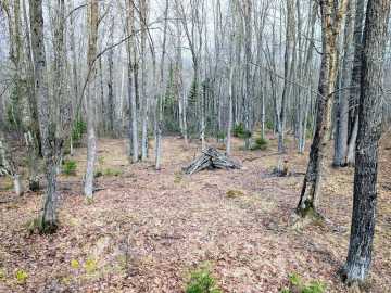 Property Photo 38