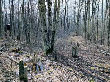 Property Photo 44