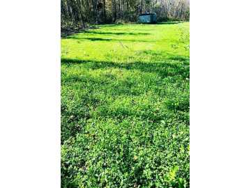 Property Photo 48