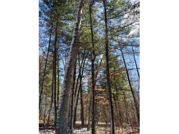 Lot 18 N4XX 297th Street, Eau Galle