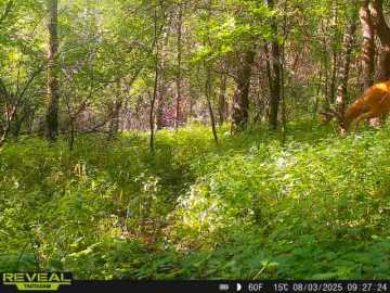 Property Photo 50