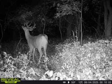 Property Photo 51