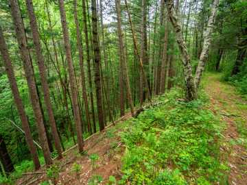Property Photo 56