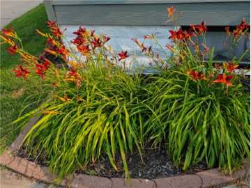 Property Photo 26