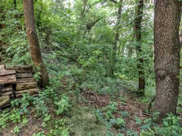 Property Photo 38