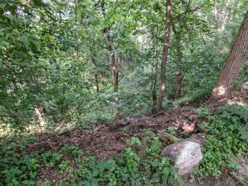 Property Photo 39