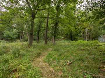 Property Photo 50
