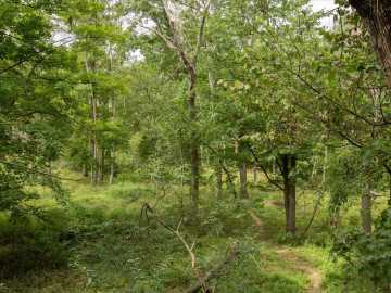 Property Photo 51