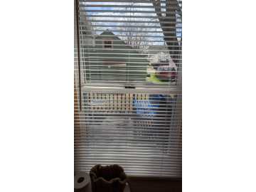 Property Photo 24
