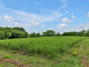 Property Photo 38