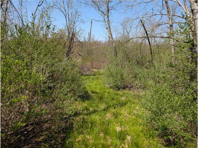 Ojibwa Land Real Estate