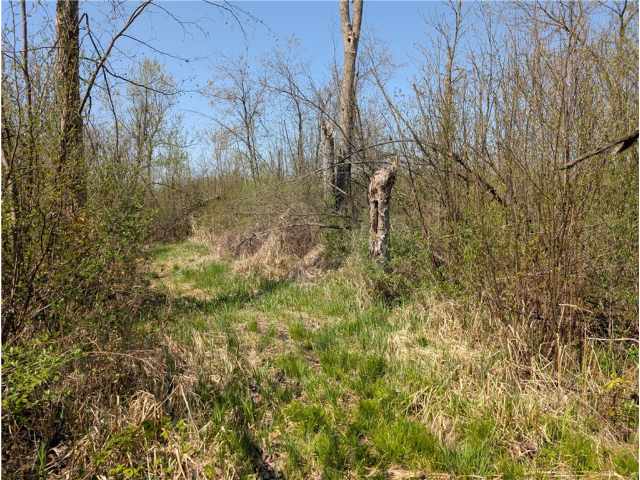 Ojibwa Land Real Estate
