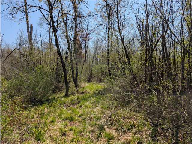 Ojibwa Land Real Estate