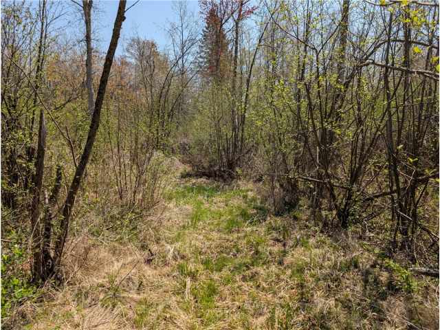 Ojibwa Land Real Estate