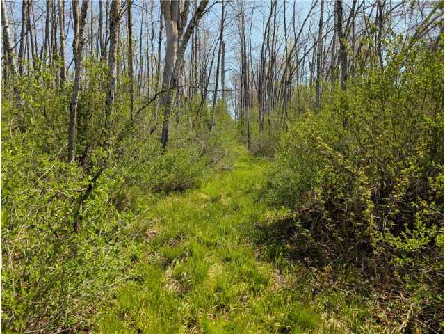 Ojibwa Land Real Estate