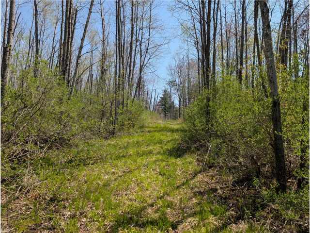 Ojibwa Land Real Estate