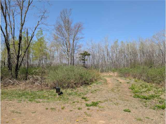 Ojibwa Land Real Estate