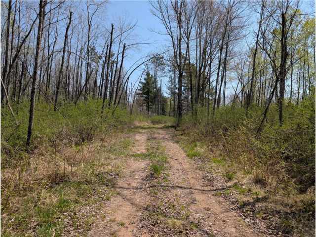 Ojibwa Land Real Estate