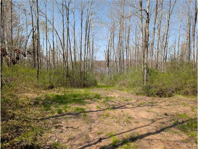 Ojibwa Land Real Estate