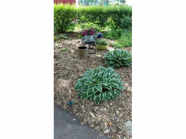 Chippewa Falls Residential Real Estate