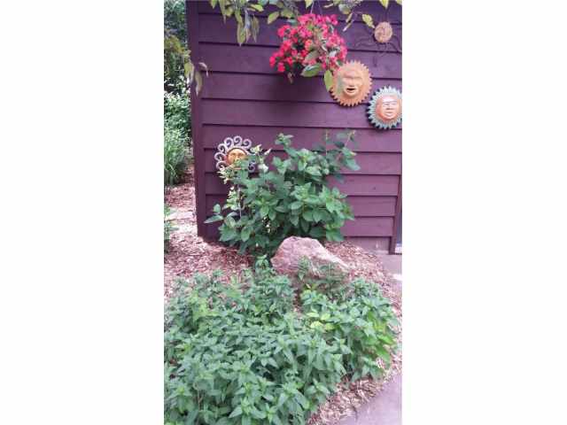 Chippewa Falls Residential Real Estate