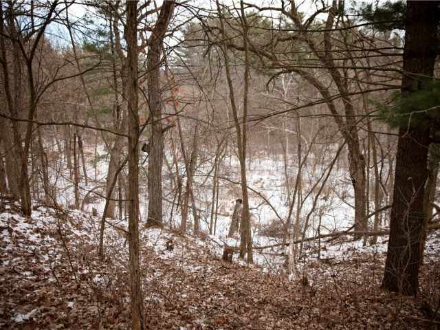 Eau Claire Residential Real Estate