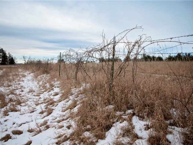 Eau Claire Residential Real Estate