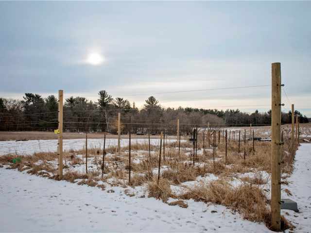 Eau Claire Residential Real Estate
