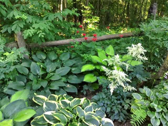 Balsam Lake Residential Real Estate