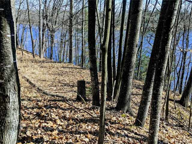 Chetek Land Real Estate