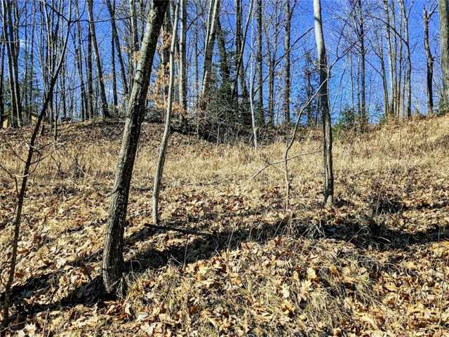 Chetek Land Real Estate