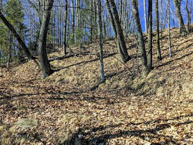 Chetek Land Real Estate