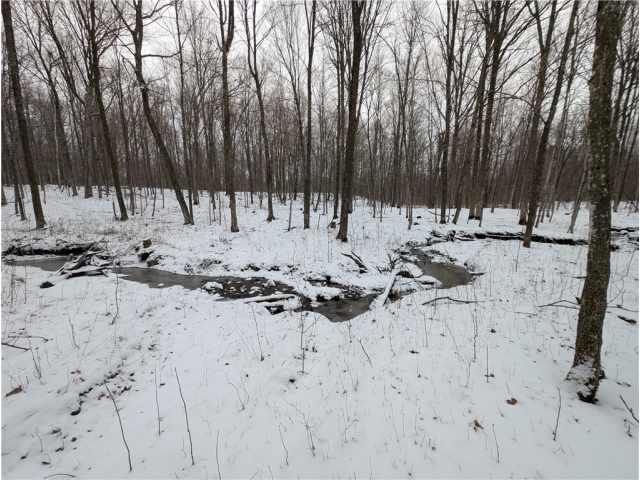 Rice Lake Residential Real Estate