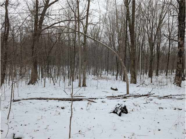 Rice Lake Residential Real Estate
