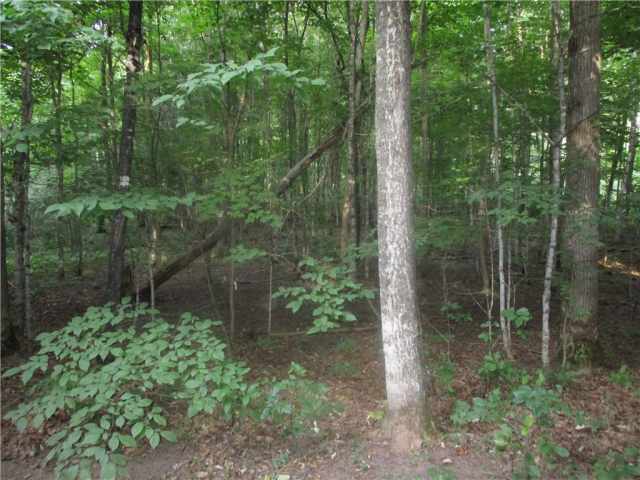 Birchwood Residential Real Estate