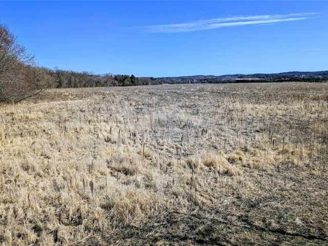 Osseo Land Real Estate