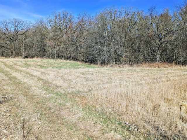 Osseo Land Real Estate