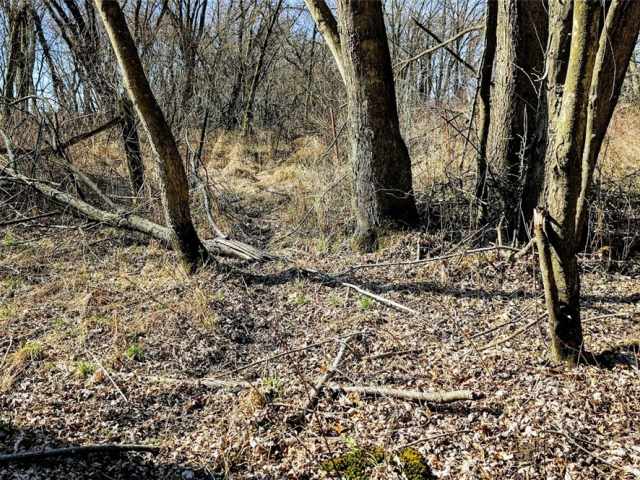Osseo Land Real Estate
