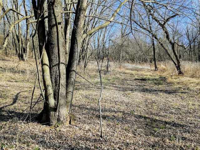 Osseo Land Real Estate