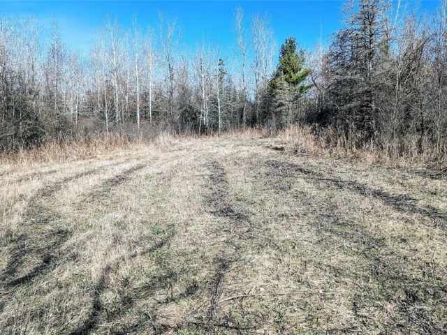 Osseo Land Real Estate