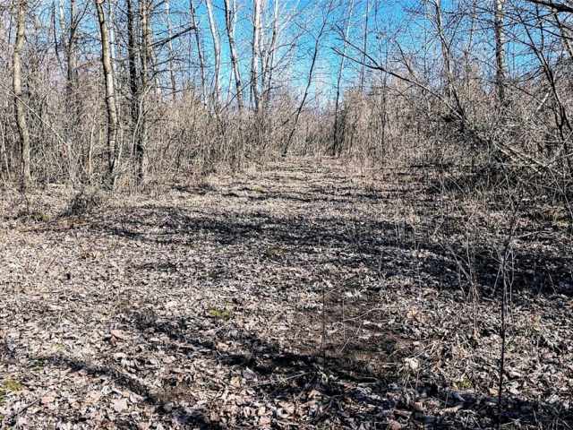 Osseo Land Real Estate