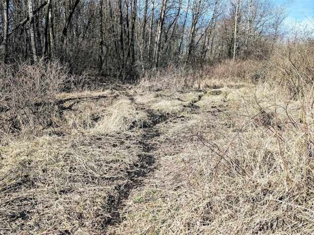 Osseo Land Real Estate