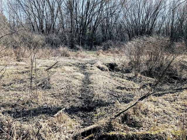 Osseo Land Real Estate