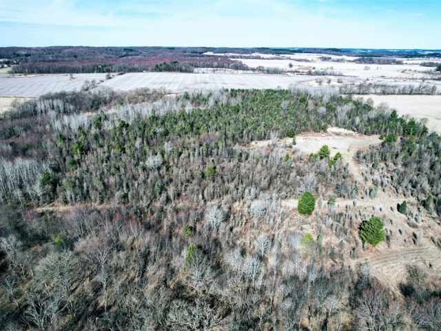 Osseo Land Real Estate