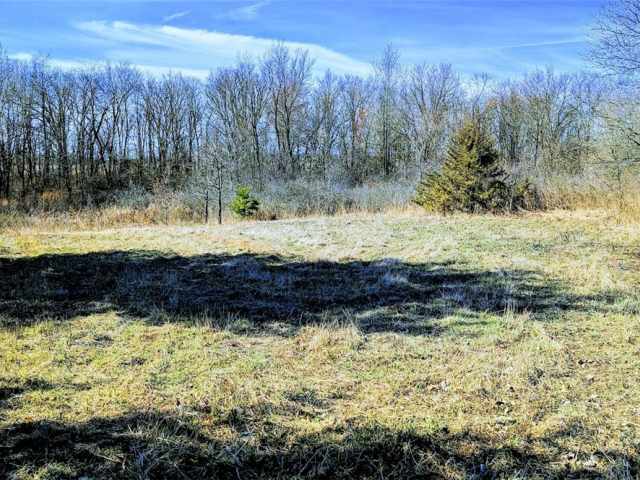 Osseo Land Real Estate