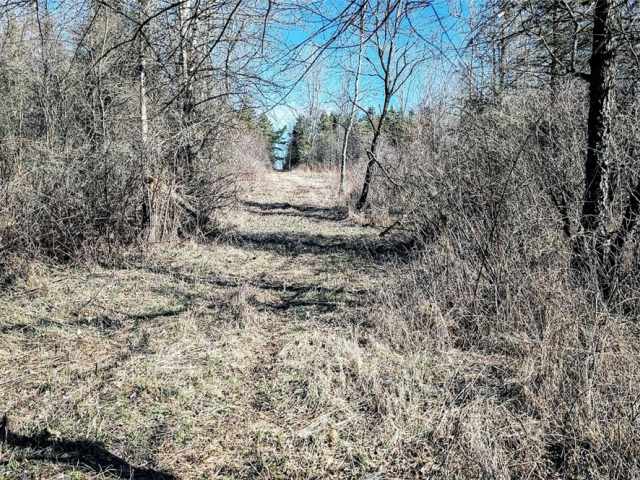 Osseo Land Real Estate