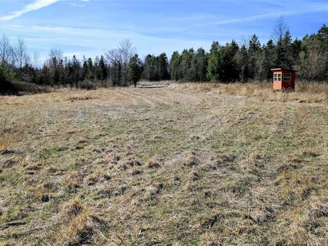 Osseo Land Real Estate