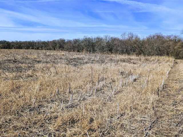 Osseo Land Real Estate