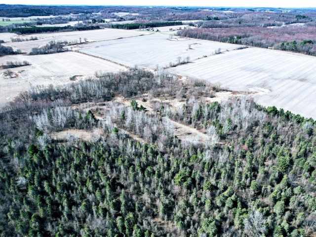 Osseo Land Real Estate