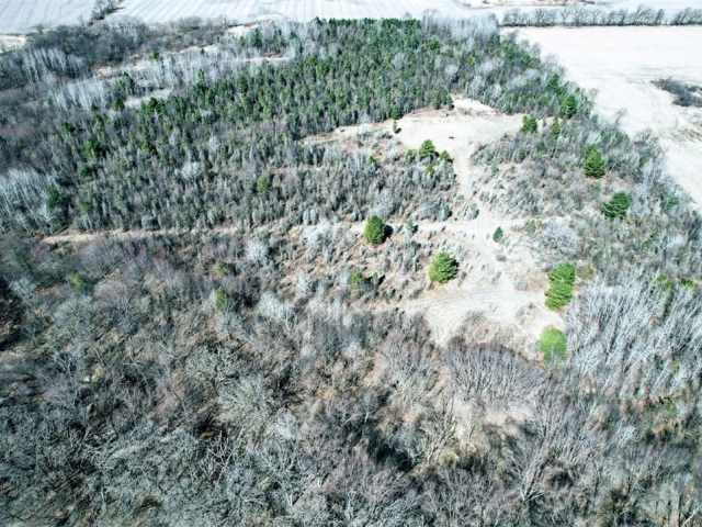 Osseo Land Real Estate